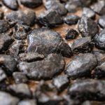 ‘United we stand, divided we fall:’ Pacific island nations urged to create collective seabed regulations