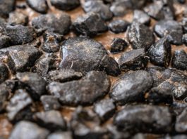 ‘United we stand, divided we fall:’ Pacific island nations urged to create collective seabed regulations