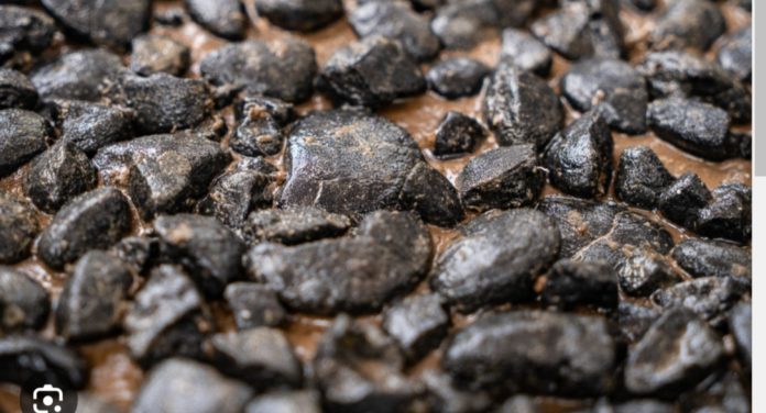 ‘United we stand, divided we fall:’ Pacific island nations urged to create collective seabed regulations