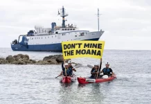 High risk of economic losses from Cook Islands nodule extraction and sales – new study reveals