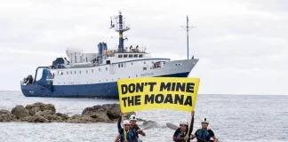 High risk of economic losses from Cook Islands nodule extraction and sales – new study reveals