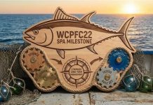 WCPFC adopts landmark South Pacific albacore management procedure after years of deadlock