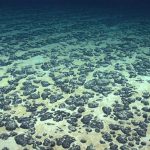 Pacific delegates warn against U.S fast-tracking seabed mining