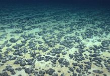 Pacific delegates warn against U.S fast-tracking seabed mining