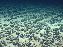 Pacific delegates warn against U.S fast-tracking seabed mining