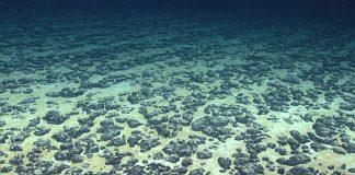 Pacific delegates warn against U.S fast-tracking seabed mining