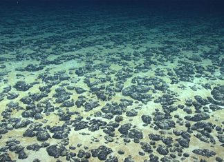 Pacific delegates warn against U.S fast-tracking seabed mining
