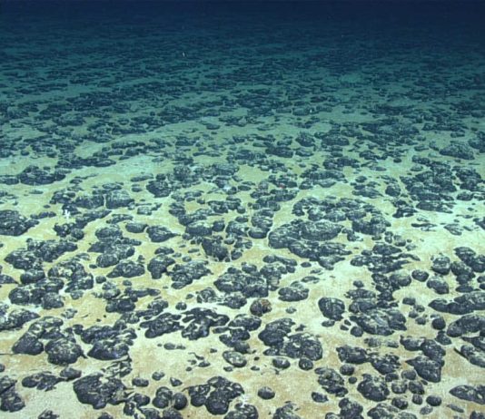 Pacific delegates warn against U.S fast-tracking seabed mining