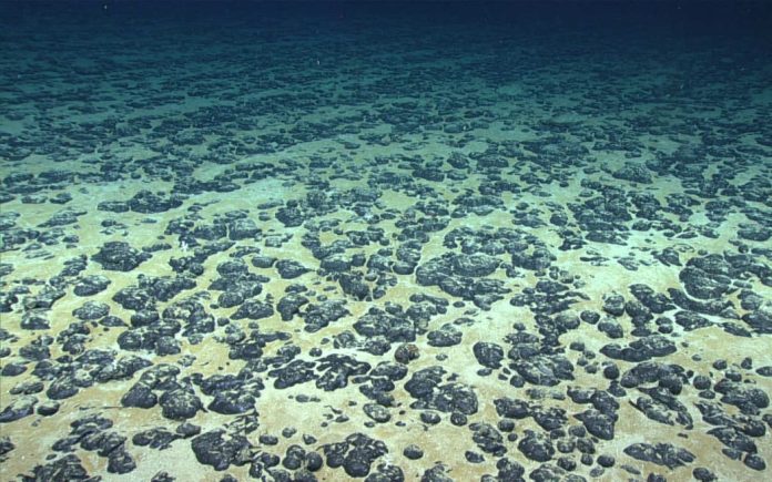 Pacific delegates warn against U.S fast-tracking seabed mining