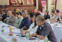 Palau Executive Defends Process on U.S Deportee Agreement, Senate and Chiefs Dispute