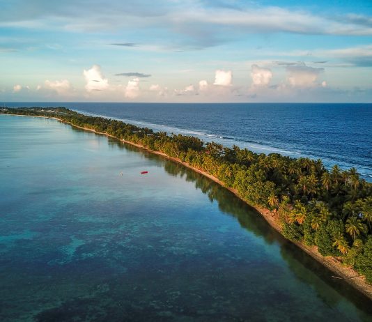 Microplastics found in fish in Tuvalu