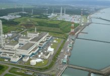 Japan restarts nuclear power plant almost 15 years since Fukushima disaster