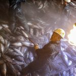 Sustainable fisheries can’t be built on exploited labour