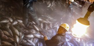 Sustainable fisheries can’t be built on exploited labour