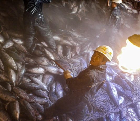 Sustainable fisheries can’t be built on exploited labour
