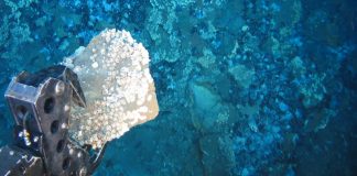 ‘We don’t care what you think’: Panel says deep-sea mining, more show issues with U.S territorial status