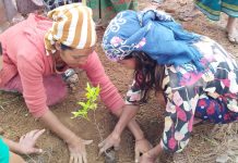 It’s not gender or climate — it’s both or it’s neither