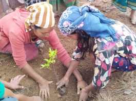 It’s not gender or climate — it’s both or it’s neither