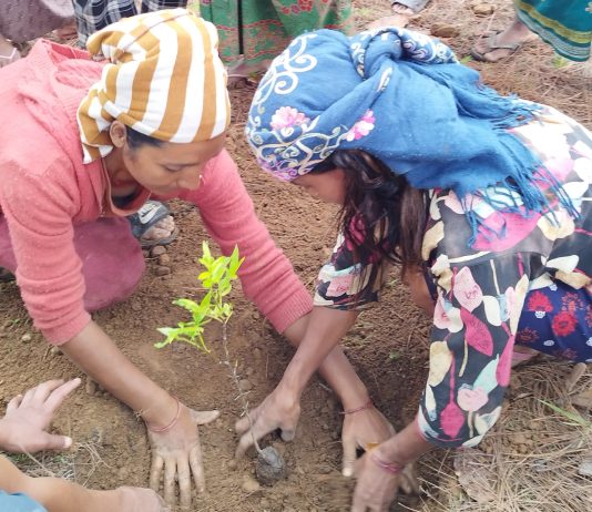 It’s not gender or climate — it’s both or it’s neither