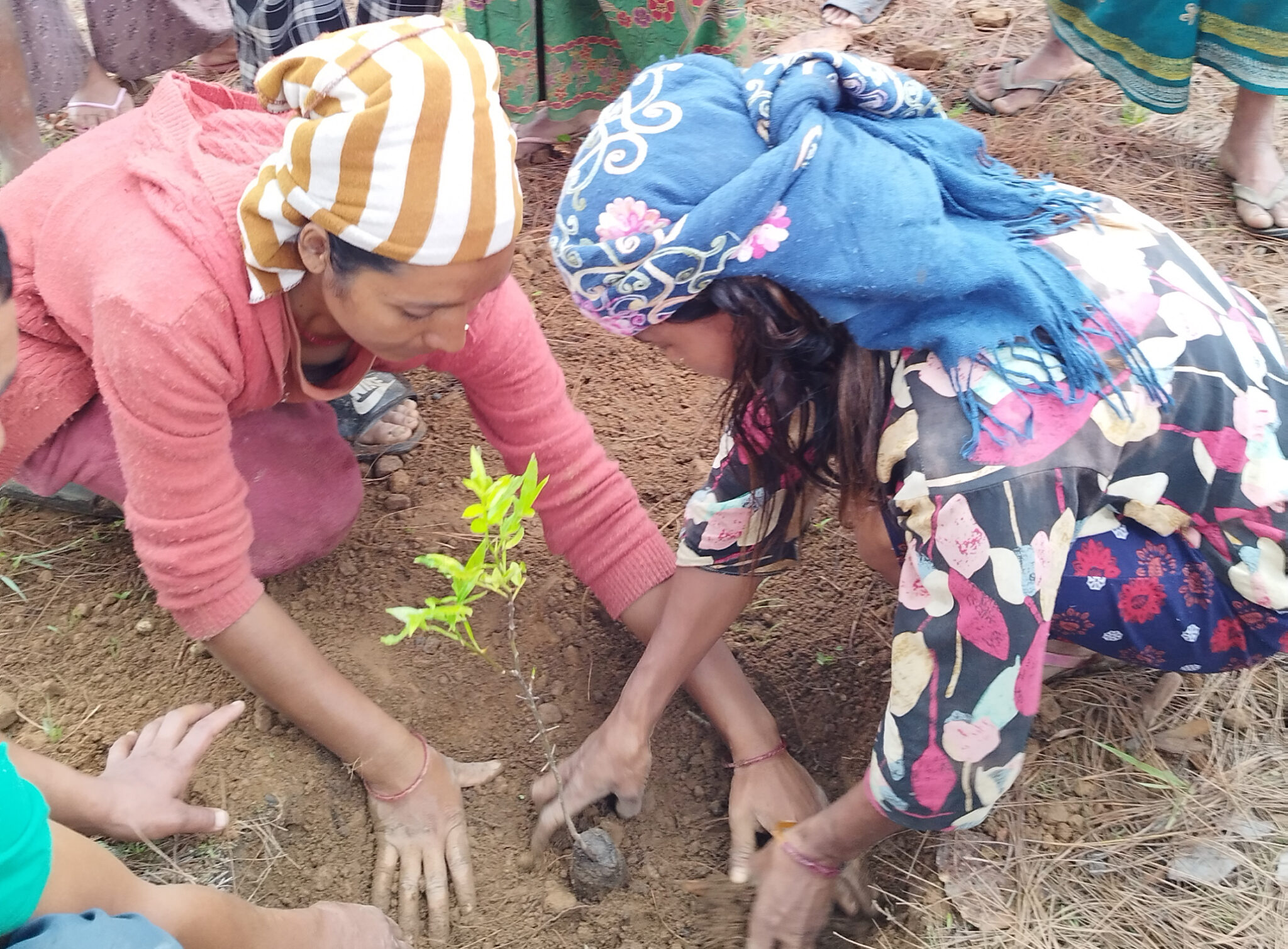 20250705_Dailekh-Pramod-Subedi-2048x1510