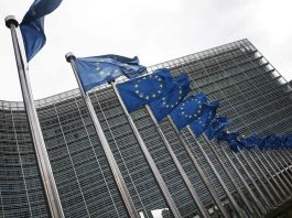 EU backs PNG trade reforms, flags customs, tax and investment concerns at WTO review