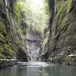 ‘Wetlands are lifelines: Leaving abundance for the next generation,’ says Minister Tabuya