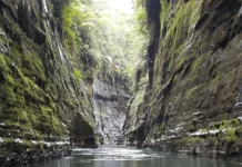 ‘Wetlands are lifelines: Leaving abundance for the next generation,’ says Minister Tabuya