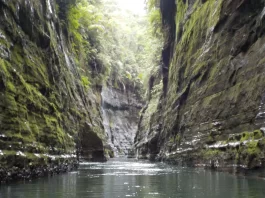 ‘Wetlands are lifelines: Leaving abundance for the next generation,’ says Minister Tabuya