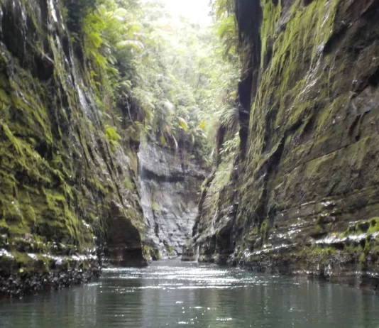 ‘Wetlands are lifelines: Leaving abundance for the next generation,’ says Minister Tabuya
