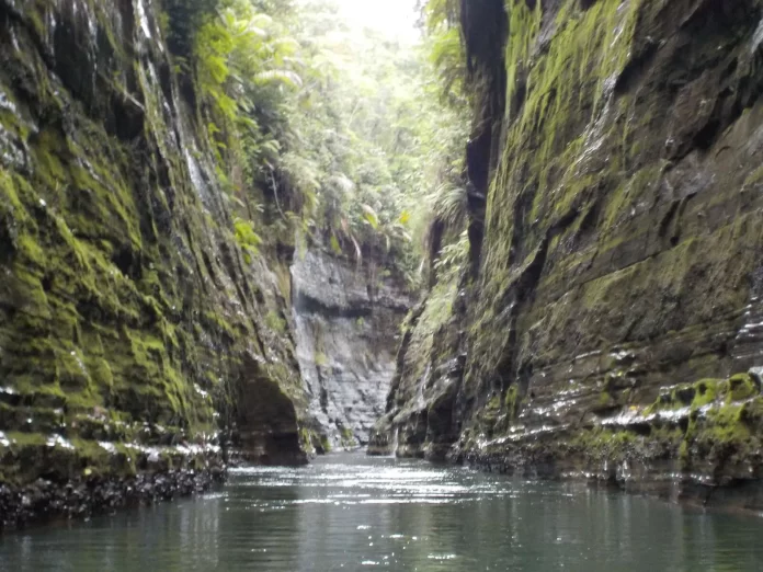 ‘Wetlands are lifelines: Leaving abundance for the next generation,’ says Minister Tabuya