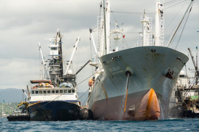 Pacific at the centre of a changing global Tuna Trade, New FFA report finds