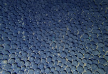 Deep Sea Mining advances, but science and global rules lag behind