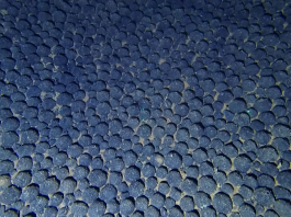 Deep Sea Mining advances, but science and global rules lag behind