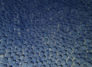 Cook Islands Critical Minerals agreement moves it one step closer to Deep-Sea mining