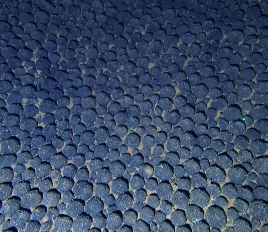 Deep Sea Mining advances, but science and global rules lag behind