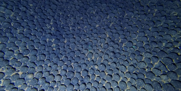 Deep Sea Mining advances, but science and global rules lag behind