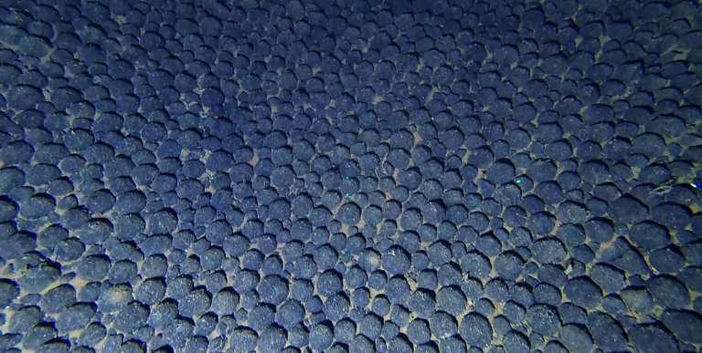 Deep Sea Mining advances, but science and global rules lag behind
