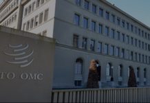 WTO ministerial spotlights digital trade, revenue concerns for Pacific islands