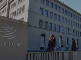 WTO ministerial spotlights digital trade, revenue concerns for Pacific islands