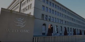 WTO ministerial spotlights digital trade, revenue concerns for Pacific islands