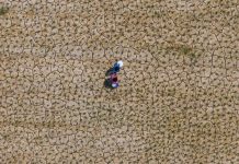 Decades of gains overshadowed as Asia-Pacific falls behind on sustainable development targets