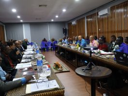 Solomon Islands, PNG reaffirm sovereignty in 10th Joint Border talks