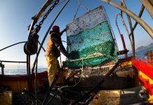 Illegal fishing drains $23.5bn annually, leaders call for action