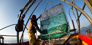 Illegal fishing drains $23.5bn annually, leaders call for action