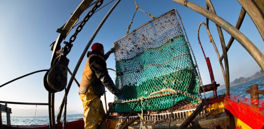 Illegal fishing drains $23.5bn annually, leaders call for action