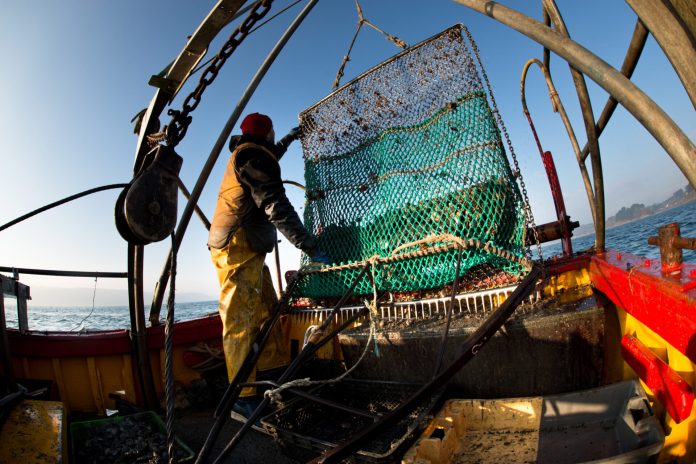 Illegal fishing drains $23.5bn annually, leaders call for action