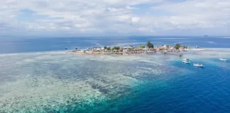 Fiji and Panama lead global initiative to protect the Ocean’s “Twilight Zone”