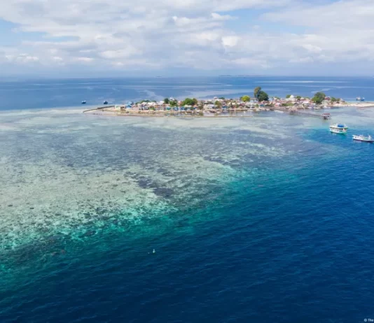 Fiji and Panama lead global initiative to protect the Ocean’s “Twilight Zone”