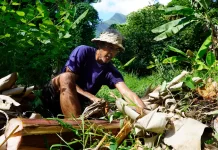 US$42 million secured for Samoa, Tonga and Vanuatu to transform and strengthen climate-resilient and regenerative agriculture