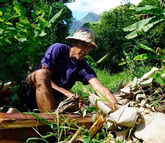 US$42 million secured for Samoa, Tonga and Vanuatu to transform and strengthen climate-resilient and regenerative agriculture